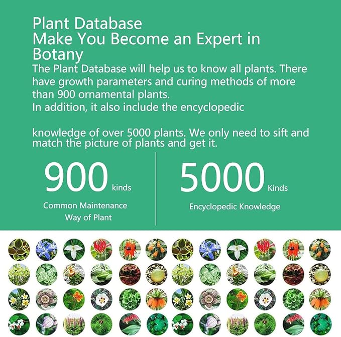 Soil Moisture Meter 4 in 1 for HHCC, Plant Water Monitor, Automatically detects Moisture/Temperature/Light/Fertility, Can Connect to Mobile Phone via Bluetooth, Plants Sensor for Indoor (Green - 1pcs)