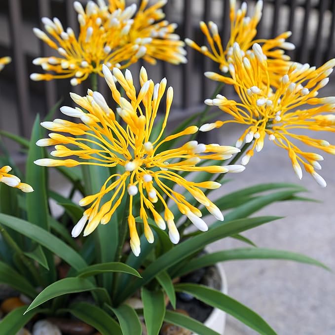 Fake Plants Outdoor with Flowers Artificial Agapanthus Large Plastic Faux Flower 8 Bundles 18.9 in Spring Summer Decoration for Patio Front Porch Platers Decor Outside