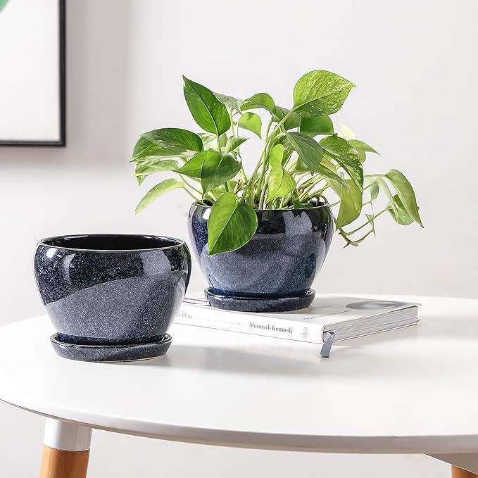 vicrays Ceramic Plant Pots Indoor - 6.5 Inch Planter Pot with Drainage Hole and Saucer for Succulent Orchid Flower Herbs Cactus - Ideal for Gardening Home Desktop Office Decor - Blue