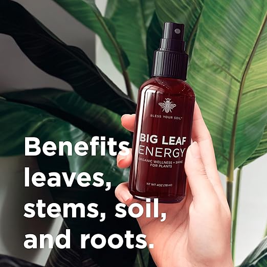 Big Leaf Energy : 4 OZ Trial Size : Ready-to-Use Spray for Plant Wellness : Organic Leaf Shine and Conditioner
