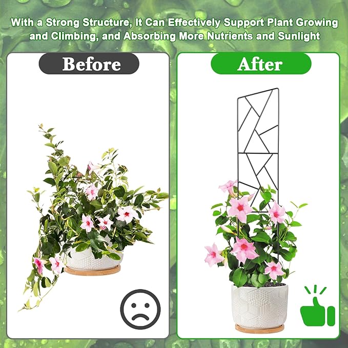 Outdoor Plant Trellis for Climbing Plants,Metal Garden Trellis for Potted Plants,Plant Stakes for Indoor Plants Accessories Hoya,Flower,Plant Support,Plant Gifts (24Inch-Window)