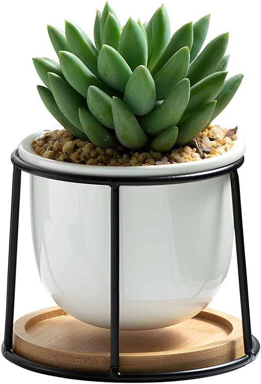 Floating Style Small Succulent Pots-3.7 Inch with Drainage and Tray, Cactus Pot, White Modern Indoor Ceramic Plant Pots (White 1)