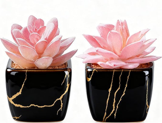 Artificial Succulent in 2PCS Black Ceramic Pot, Small Fake Succulents Plants for Office and Desk Decor,Bathroom, Bedroom, Shelves, Vanity for Women