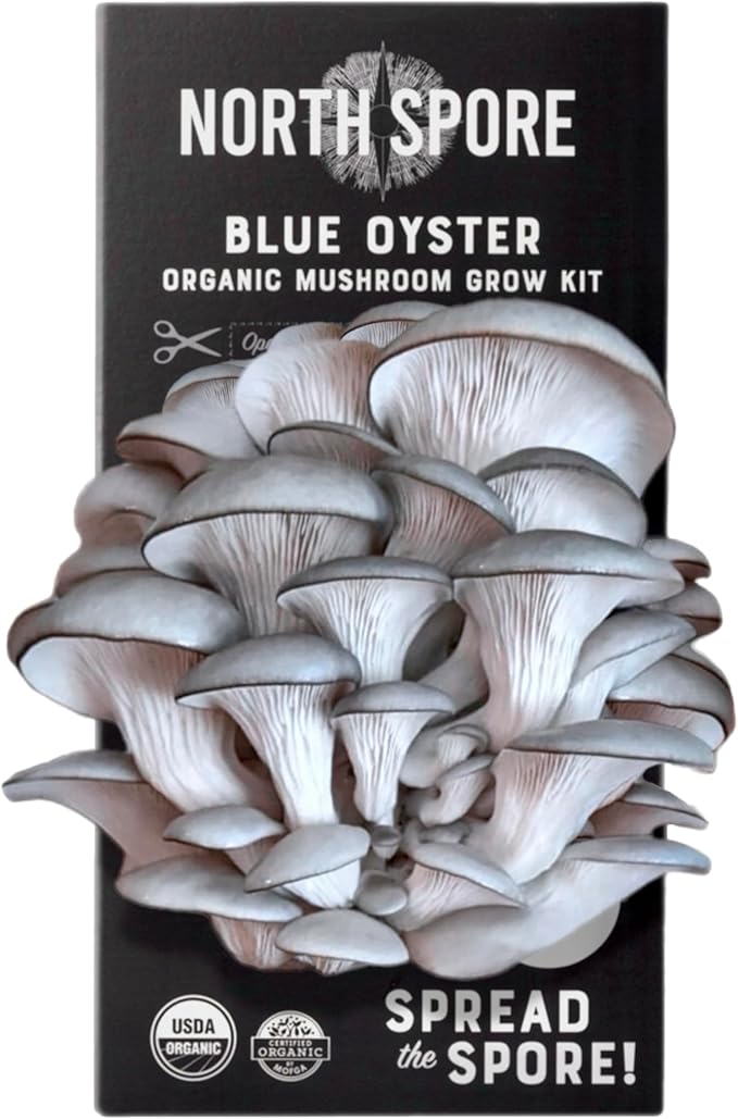 (2-Pack) North Spore Organic Blue Oyster & Lion's Mane Mushroom Spray & Grow Kits (4 lbs each) | USDA-Certified Organic, Non-GMO, Beginner-Friendly & Easy to Use | Handmade in Maine, USA