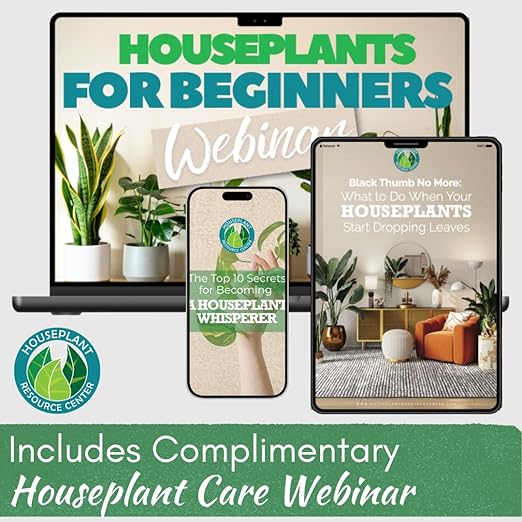 Pothos Fertilizer – Liquid Plant Food for Strong Roots, Healthy Growth & Lush Foliage – 3-3-3 NPK Formula with Sea Kelp, Humic & Fulvic Acid – Essential Nutrients for Neon Pothos or Devil’s Ivy – 8 oz