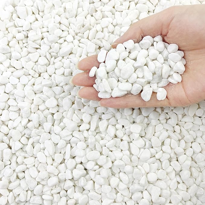 2 lbs White River Rocks for Plants, 3/8 Inch Gravel Pebbles for Plants. Decorative White Stones for Succulents, Cactus, Vase and Outdoor Garden Landscaping