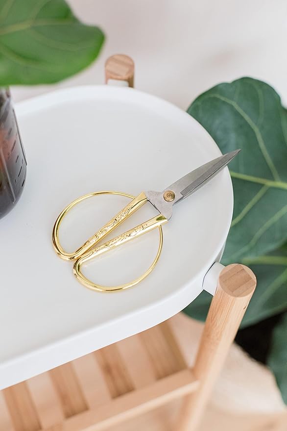 Premium Houseplant Scissors | 100% Stainless Steel, Ultra-Precise Garden Clippers for Propagation & Trimming | Rust-Resistant, Easy Clean Pruning Shears | Indoor & Outdoor | Comfortable & Ambidextrous