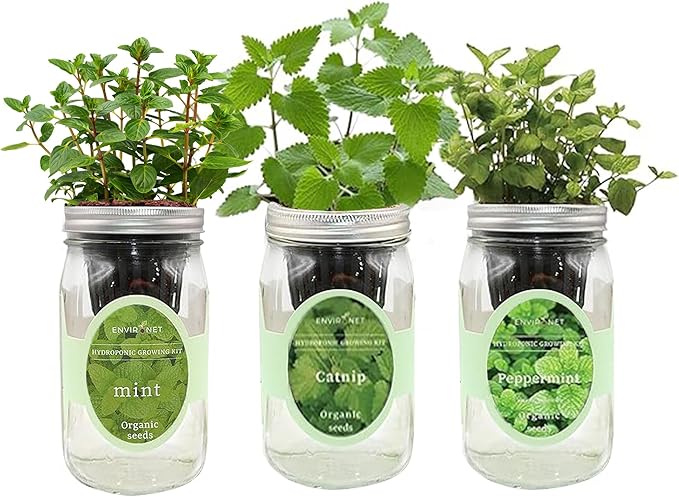 Hydroponic Herb Growing Kit Set, Self-Watering Mason Jar Herb Garden Starter Kit Indoor, Grow Your Own Herbs from Seeds (Mint, Peppermint & Catnip)