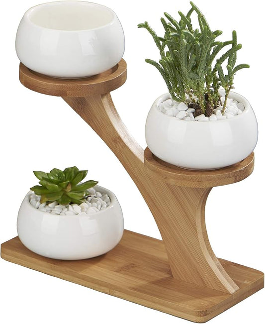 FLOWERPLUS Planter Pots Indoor, 3 Pack 3 Inch White Ceramic Decorative Small Round Succulent Cactus Flower Plant Pot with Tree Tier Bamboo Stand for Garden Kitchen Home Office Desk Decorations