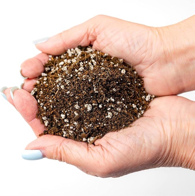 Gardenera Professional Carnivorous Plant Soil - Ready to Use for Venus Flytraps, Sundews, Pitcher Plants, Butterworts | Peat Moss, Coco Coir, Perlite - 10 Quart