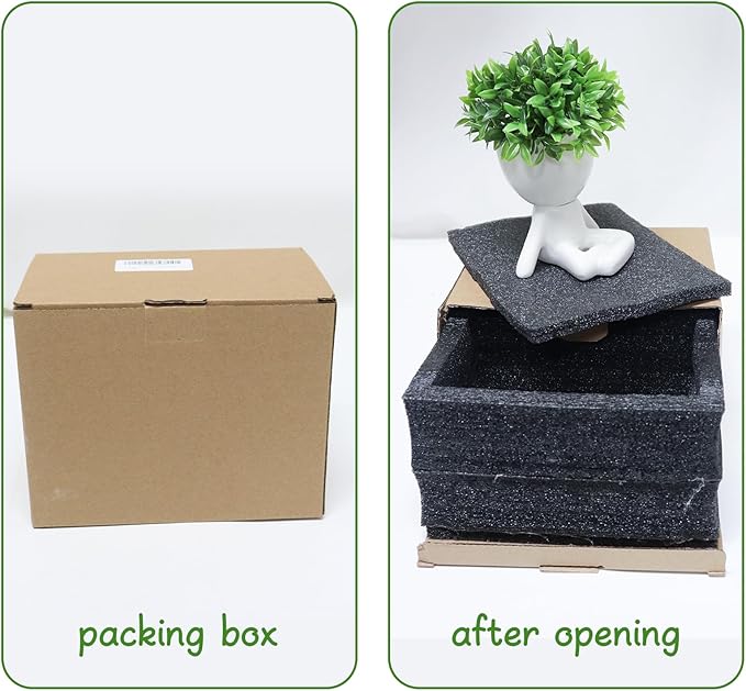 Zerzsy Mini Succulent Plant - Plants Gift - Cute Office Decor for Women - Office Decorations for Work DeskWomen - Desk Plants Decorations for Shelf- Set of 1