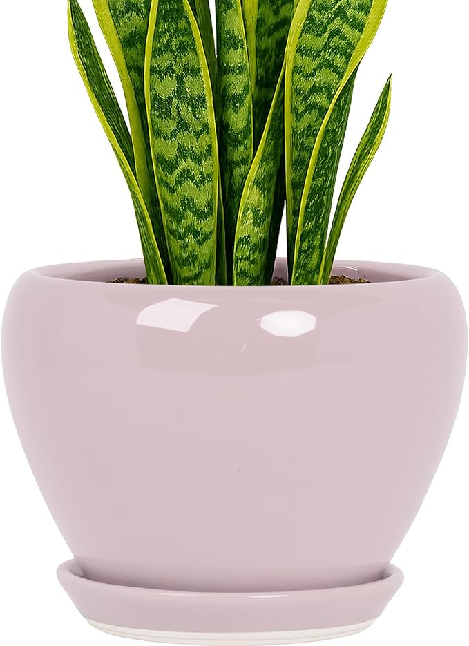 Deep Dream 8 Inch Plant Pots- Ceramic Pots for Plants with Drainage Hole and Saucer, Large Planter Pot for Indoor Plants Outdoor Decor, Pink