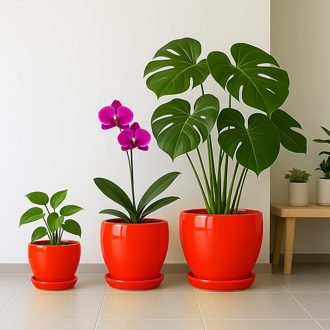 Deep Dream 6 Inch Plant Pots- Ceramic Planter Pot with Drainage Hole and Saucer, Round Flower Pot for Indoor Outdoor Succulent, Snake Plants and Cactus, Red