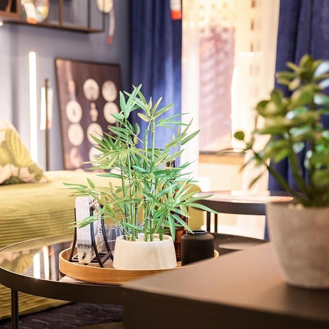 365 Blooming Decor 18 Inch Tall White Potted Faux Bamboo Plant - Luxury Artificial Bamboo in White Pot for Home, Office, Kitchen, Counter Top, Indoor Decor, Money Tree, Lucky Tree