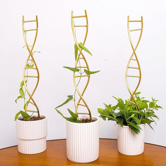 Indoor Plant Trellis for Potted Plants - Durable Metal Climbing Trellis with Unique DNA Spiral Design for Vining Plants, Easy Installation for Indoor & Outdoor Use