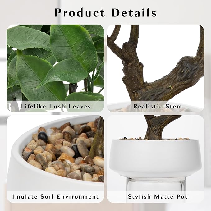 Artificial Bonsai Tree, Small Ficus Bonsai Tree 13" Indoor Bonsai Tree Fake Potted Plant Decorative Fake Desk Plant Decor with Ceramic Pot for Home Office Living Room Bedroom Bathroom Table Shelf