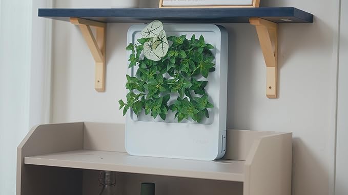 Indoor Garden Hydroponic System with LED Grow Light Indoor herb Garden, Indoor Garden Hydroponic System with LED Grow Light (Gery)