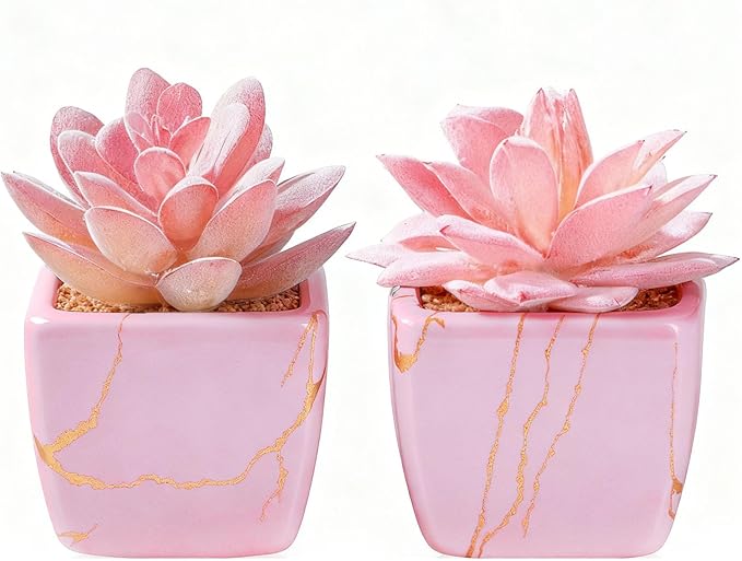 Artificial Succulent in 2PCS Pink Ceramic Pot, Small Fake Succulents Plants for Office and Desk Decor,Bathroom