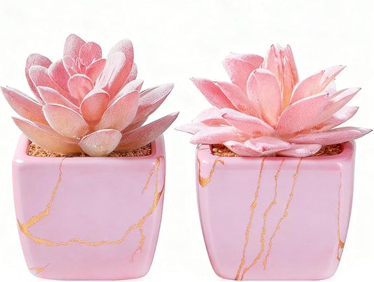 Artificial Succulent in 2PCS Pink Ceramic Pot, Small Fake Succulents Plants for Office and Desk Decor,Bathroom