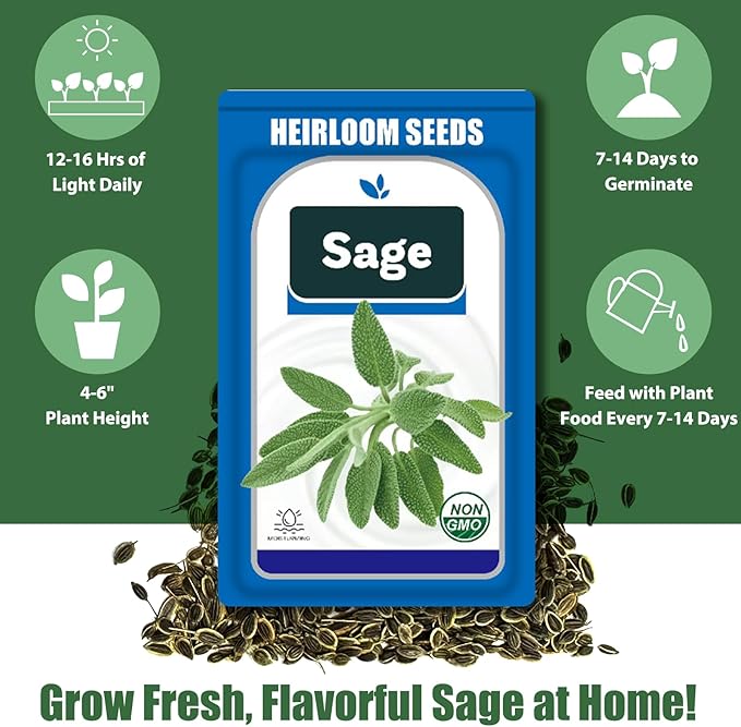 Sage Seed Pods for All Hydroponics Growing Systems, 12 Pods Herb Kit with 200+ Seeds of Sage, Grow Your Own Herb Garden at Home