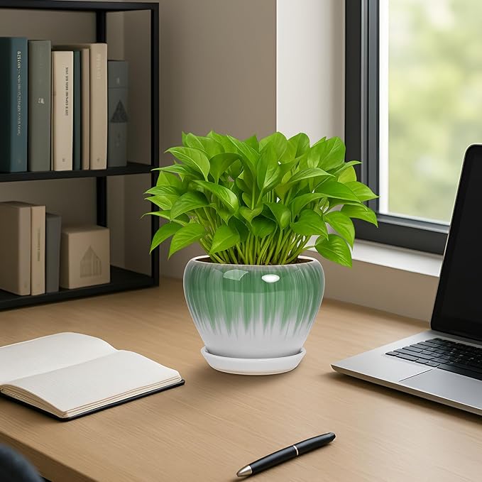 Deep Dream 6 Inch Plant Pots- Ceramic Planter Pot with Drainage Hole and Saucer, Round Flower Pot for Indoor Outdoor Succulent, Snake Plants and Cactus, White&Green