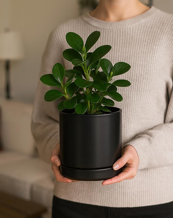 D'vine Dev 4.7 Inch & 6.5 Inch Ceramic Planter Pots for Plants with Drainage Hole and Saucer, Small Plant Pots Set, Black, 94-G-S-2