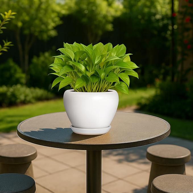 Deep Dream 6 Inch Plant Pot - Ceramic Planter with Drainage Hole and Trays, Modern Round Flower Pot, Planters for Indoor Outdoor Plants, Home Garden Decor, White