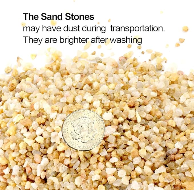 TOYPOPOR 6lb Succulent and Cactus Bonsai Gritty Mix Rocks, Natural Coarse Sand Stone, Potted Plant Decorative Gravel, DIY Projects Pebbles for Vases Fillers, Terrarium, Fairy Gardening, Top Dressing