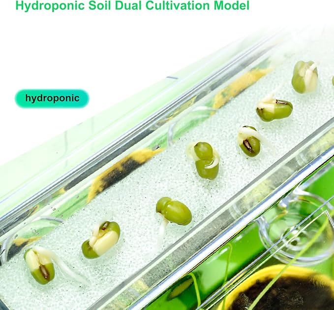 Kids Gardening Greenhouse Growing Kit with Weather Observation Kids Terrarium kit Science Educational DIY Indoor Plant Toy