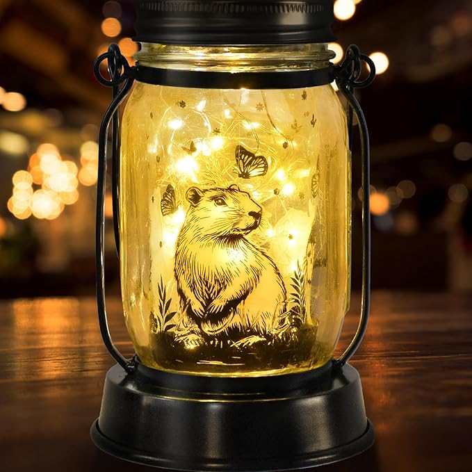 Capybara Gifts for Women/Men Capybara Solar Lanterns Mom Grandma Birthday Present Lantern Memorial Lights Solar Garden Decoration Outside for Yard, Patio,Backyard,Porch Torches
