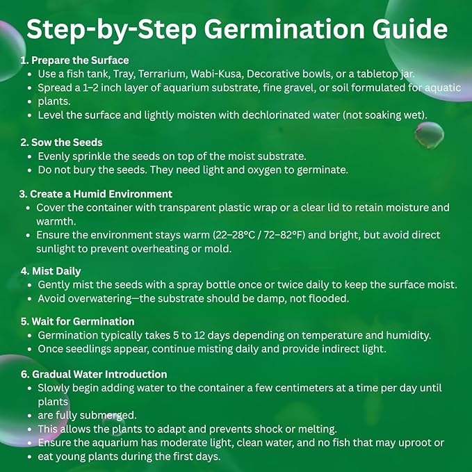 3 Pack Freshwater Aquarium Decor, Easy Growing Dwarf Carpet for Fish Tank/Terrarium, Natural Aquatic Plant Growth Material (Love Grass)