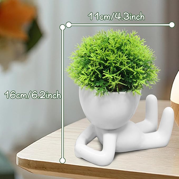 Zerzsy Mini Succulent Plant - Plants Gift - Cute Desktop Decoration Desk Decorations for Women Office -Small Plants Shelf Decor-Cute Cubicle Accessories-Set of 1