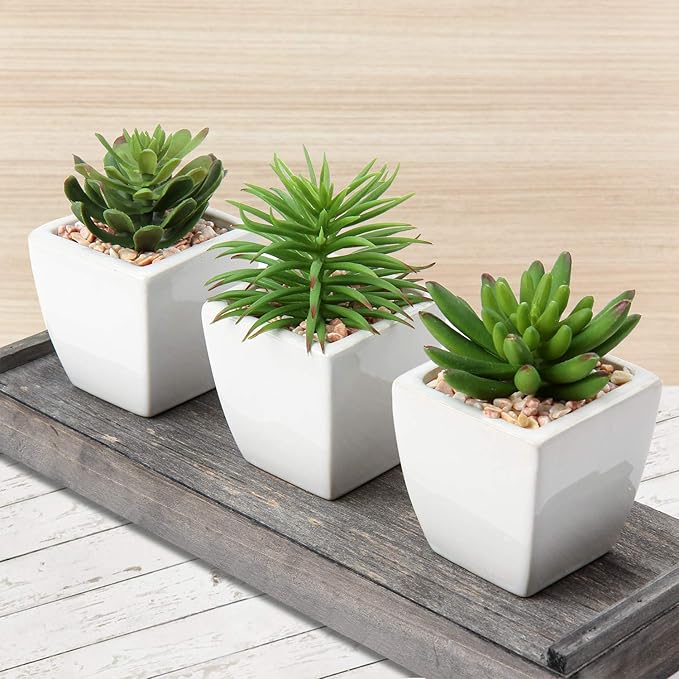 Briful Set of 3 Succulents Plants Artificial in Ceramic Pots Small Fake Succulents Plants Faux Plants Indoor for Window Sill Office Farmhouse Shelf Bathroom Decor