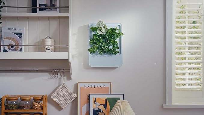 Indoor Garden Hydroponic System with LED Grow Light Indoor herb Garden, Indoor Garden Hydroponic System with LED Grow Light (Gery)