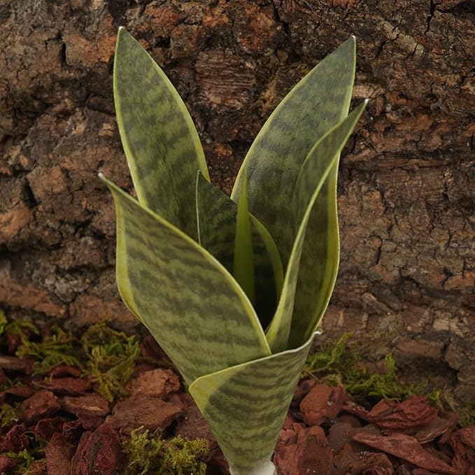 Fake Snake Plants Artificial Sansevieria, Reptile Terrarium Decor, Bearded Dragon Tank Accessories fit Crested Gecko Leopard Lizard Chameleon Ball Python Snake Frog