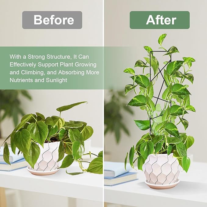 17.5 Inch Indoor Plant Trellis for Climbing Plants,Metal Trellis,Small Garden Trellis for Potted Plants,Plant Stakes for Indoor Plants Accessories Hoya,Flower,Plant Support (Star-Metal)