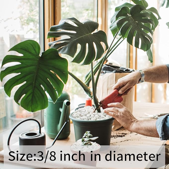 2 lbs White River Rocks for Plants, 3/8 Inch Gravel Pebbles for Plants. Decorative White Stones for Succulents, Cactus, Vase and Outdoor Garden Landscaping