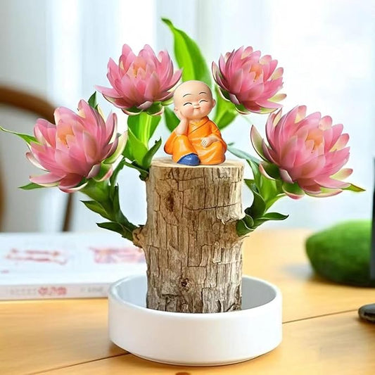 Brazilian Lucky Wood Kit with Monk, Grow Your Own Luck,Easy to Maintain Mini Brazil Woods for Indoor/Outdoor, Bedroom, Kitchen, Office Desk, Garden and Other Decorations (A)