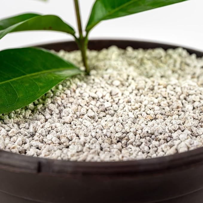 Gardenera Organic Perlite — Medium/Fine Grade Horticultural Soil Amendment for Indoor & Outdoor Container Plants for Drainage Management and Enhanced Growth (3 Quart)