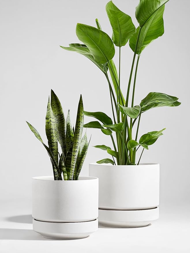 LE TAUCI Large 14 Inch Plant Pot with Saucer | Ceramic Outdoor & Indoor Big Planter Pot | Drainage Hole, Mesh Pad & Plug | Unglazed Porous | Modern Minimalist for Home and Patio – Chalk White