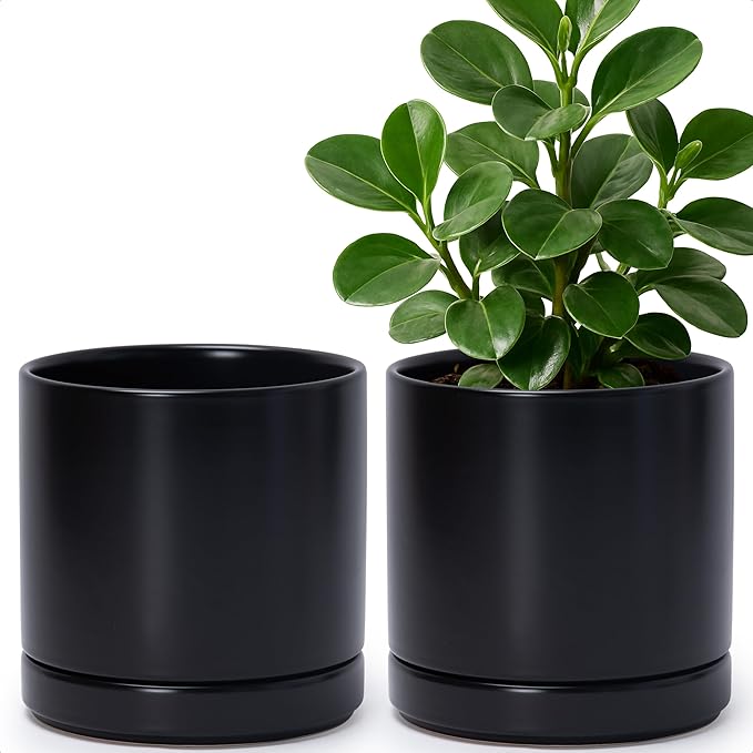 D'vine Dev Set of 2 Plants Pots, 6.5 Inch Ceramic Planter Pot for Plants with Drainage Hole and Saucer, Black, 94-V-C-2
