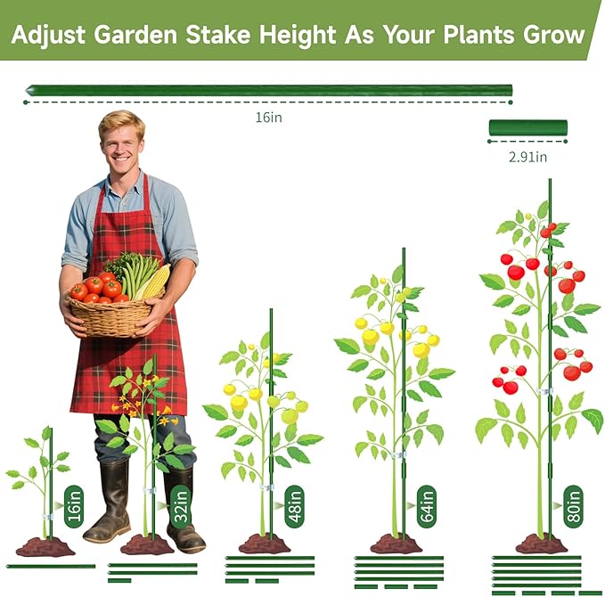 90pcs Garden Stakes Set, 16 Inches Plastic Coated Metal Plant Sticks Stakes Supports, DIY 4ft 5ft 6ft 7ft 8ft Tomato Stakes for Growing Climbing Tomato Vegetables Flowers Pepper, Versatile Ues