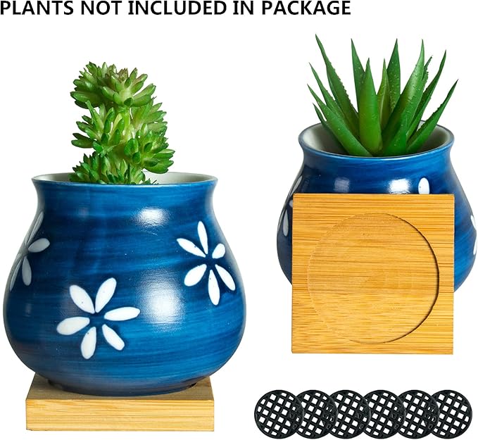 Cute Succulent Pots with Drainage Bamboo Tray - 3" Succulent Planters with Drainage Hole Ceramic Planter Tiny Pots for Indoor Small Plants, Small pots for Succulents Cactus Container Set of 6