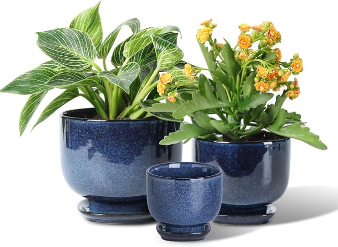 vicrays Ceramic Plant Pots Indoor - 6.8/5.5/4.3 Inch Planter Pot with Drainage Hole and Saucer for Succulent Orchid Flower Herbs Cactus - Gardening Home Desktop Office Decor – Set of 3 Blue