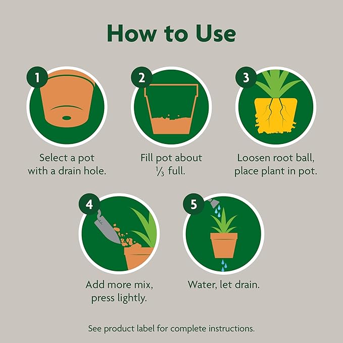 Miracle-Gro Indoor Potting Mix, Blended for a Variety of Houseplants, Feeds for up to 6 Months, 6 qt., 2-Pack