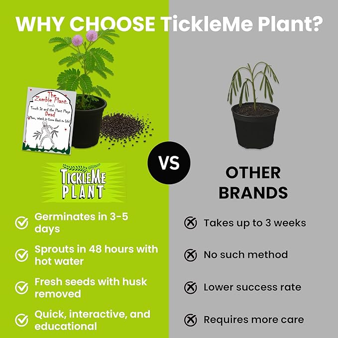 Zombie Plant Greenhouse Grow Kit - Touch It and Watch It Play Dead - Unique Grow Kit to Cultivate a Fun Indoor Plant That Revives in Minutes - Cool Plants and Great for Housewarming Gifts