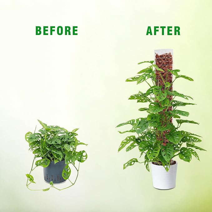 Bonviee 2 Pcs 15 Inch + 2 Pcs 24 Inch Plastic Moss Poles for Monstera – D-Shaped Plant Support for Climbing Vines, Compatible with Sphagnum Moss, Includes 2 Garden Ties