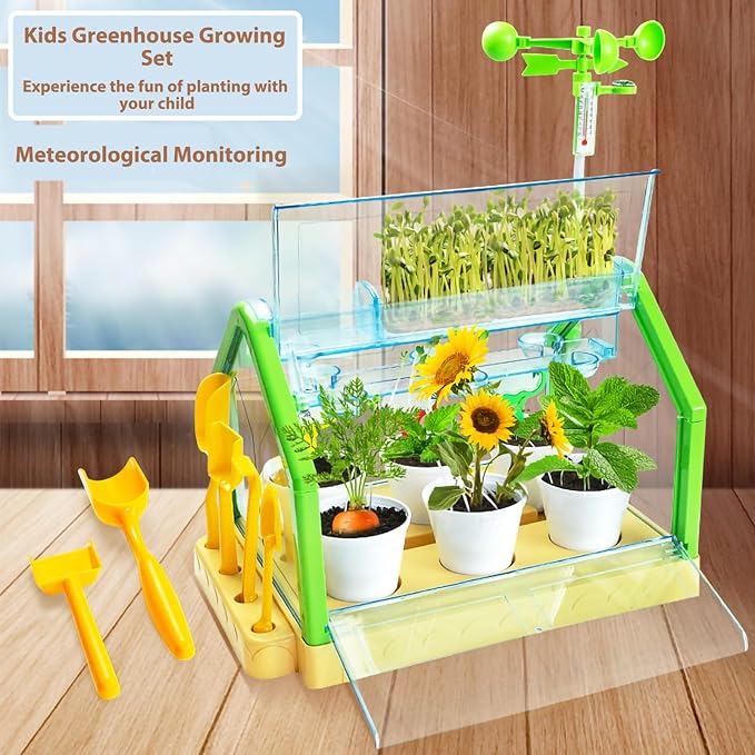 Kids Gardening Greenhouse Growing Kit with Weather Observation Kids Terrarium kit Science Educational DIY Indoor Plant Toy
