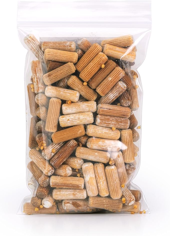 North Spore Organic Hen of The Woods (100 ct) Maitake Mushroom Plugs for Logs | Premium Quality Mushroom Plug Spawn | Handmade in Maine | Grow Gourmet Mushrooms Outdoors | Grifola frondosa