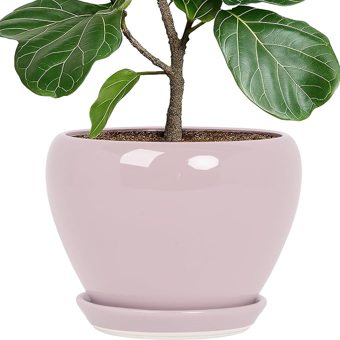 Deep Dream 10 Inch Plant Pot- Ceramic Planter Pot Round Plant Pots for Indoor Plants Outdoor Large Flower Pot with Drainage Holes & Trays, Pink